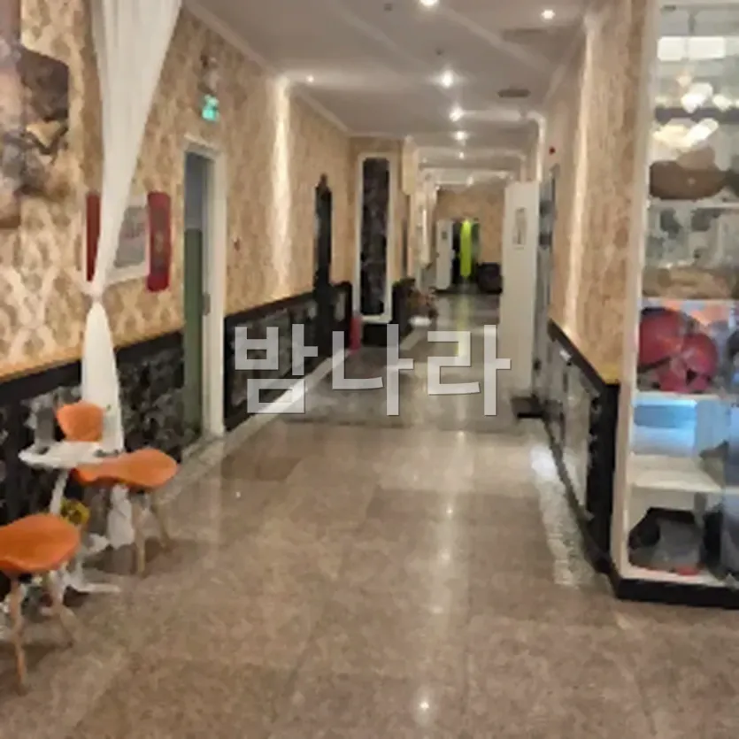 다낭 원오페라 가라오케 단체가 둘러앉은 넓은 룸 분위기