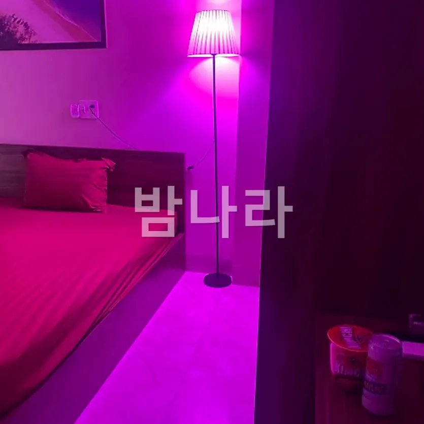 다낭 한인 사쿠라 DLG 입구와 간판 주변 동선