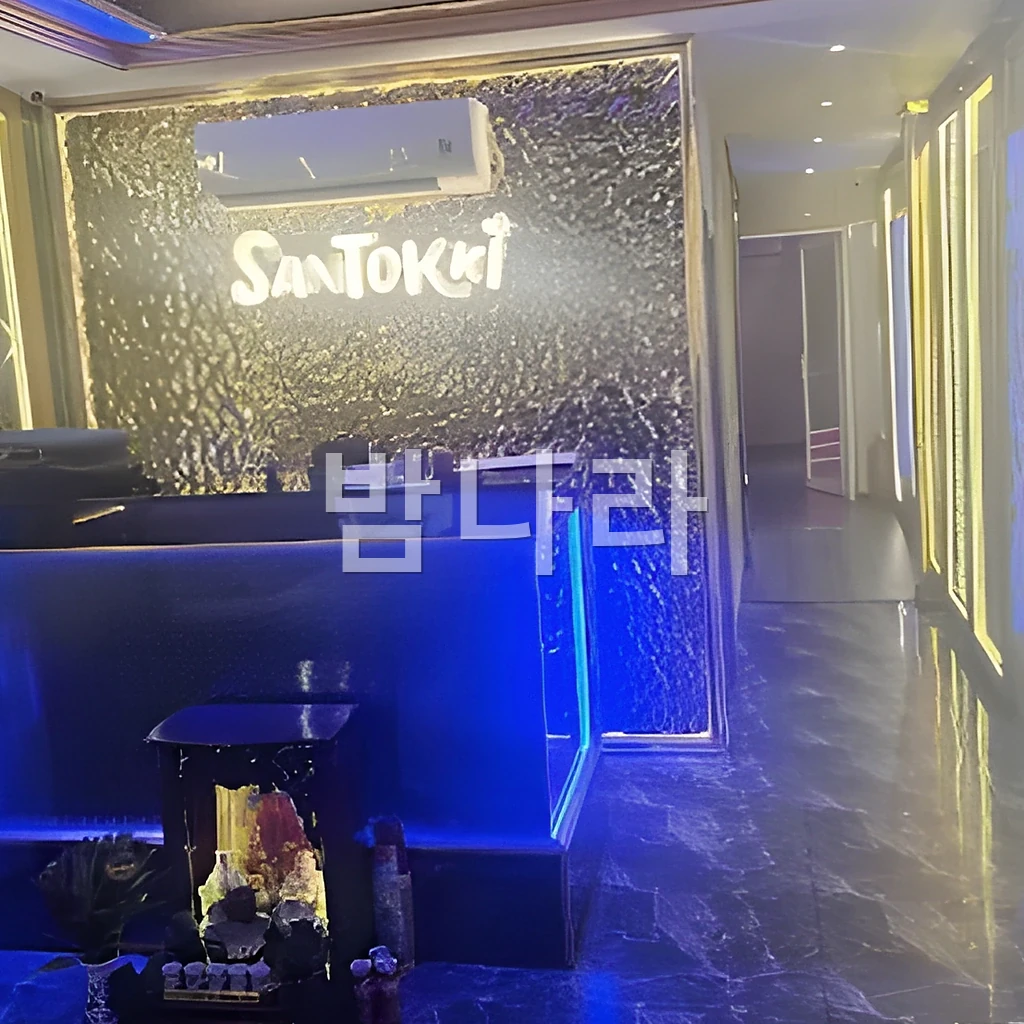 호치민 산토끼 가라오케 소파와 대형 화면이 있는 룸