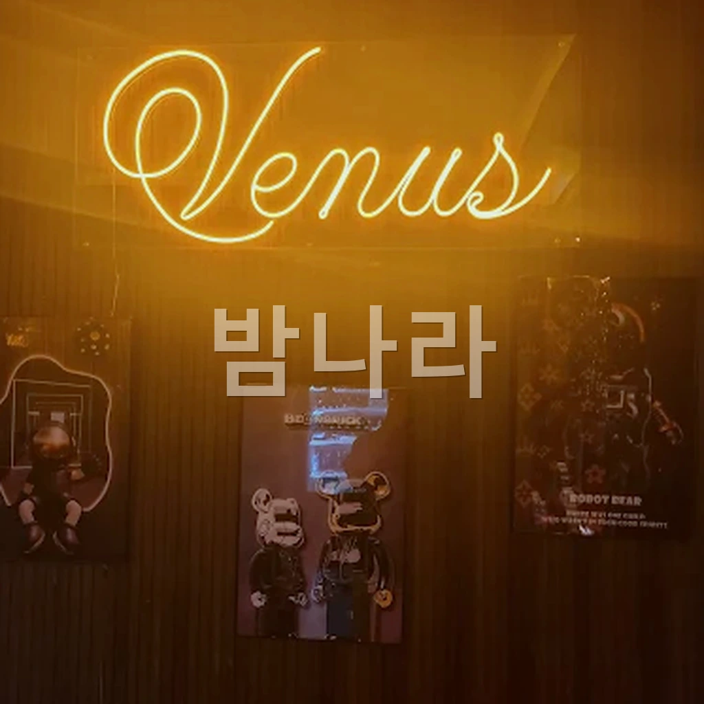 하노이 비너스 가라오케 내부 룸 조명과 소파