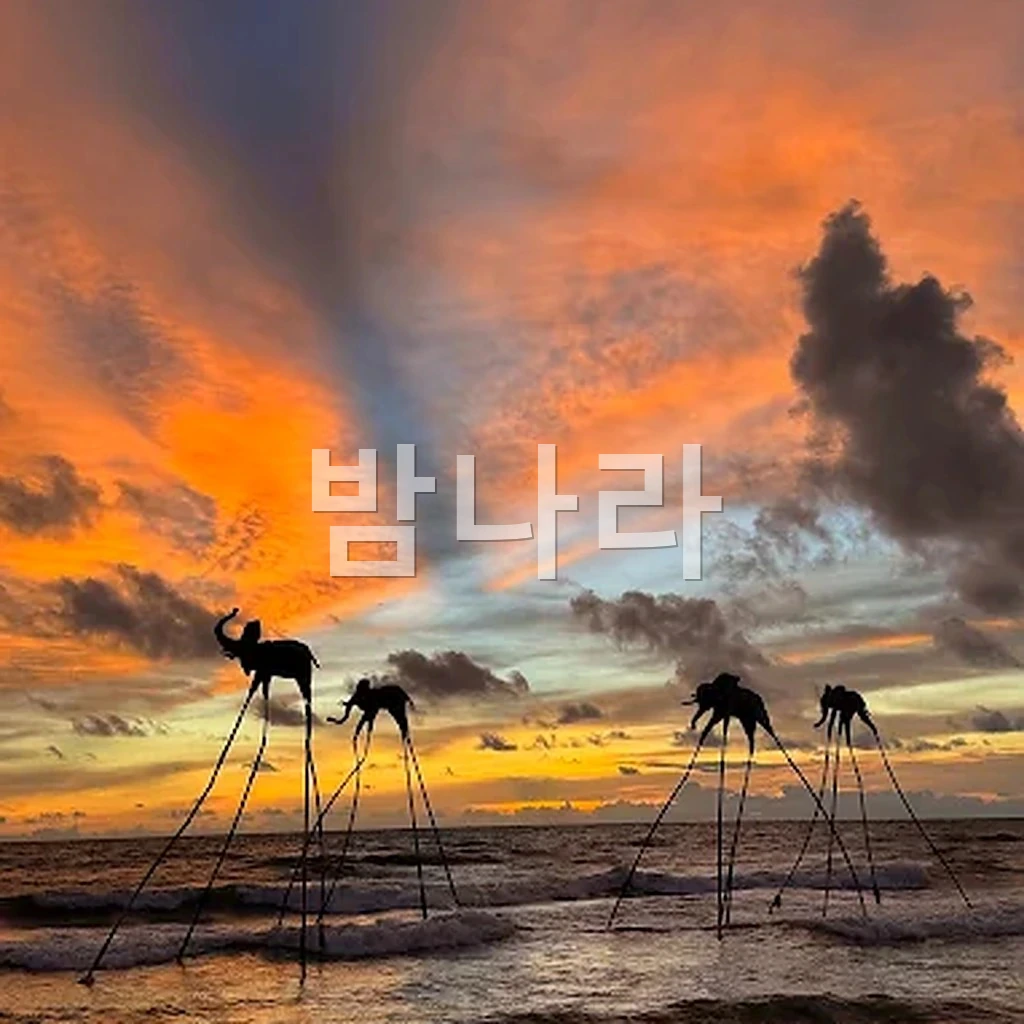 푸꾸옥 선셋 사나토 바다로 지는 노을과 해변 실루엣